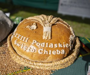 Muzeum Rolnictwa po raz kolejny na Pikniku Poznaj Dobrą Żywność