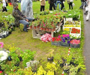 JARMARK ŚW. WOJCIECHA