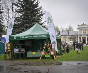 Deszczowy Jarmark Deszczowy Jarmark