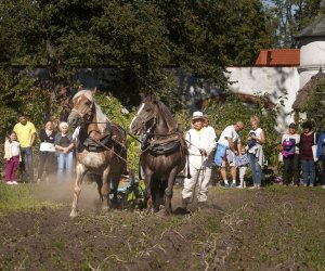 JESIEŃ W POLU I ZAGRODZIE w ramach Europejskich Dni Dziedzictwa 18 września 2016 r. JESIEŃ W POLU I ZAGRODZIE w ramach Europejskich Dni Dziedzictwa 18 września 2016 r.