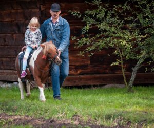 Impreza plenerowa - Jesień w Polu i Zagrodzie