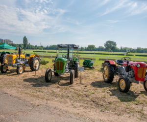 "Piknik Poznaj Dobrą Żywność" - Służewiec - 26 maja 2024 r. - fotorelacja "Piknik Poznaj Dobrą Żywność" - Służewiec - 26 maja 2024 r. - fotorelacja