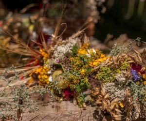 Niecodziennik Muzealny - Matka Boska Zielna złotych kłosów pełna...