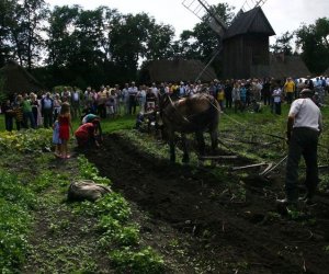 Wykopki w skansenie 2009