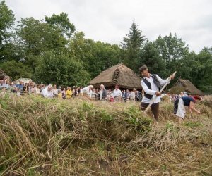 XVII Podlaskie Święto Chleba - fotorelacja XVII Podlaskie Święto Chleba - fotorelacja