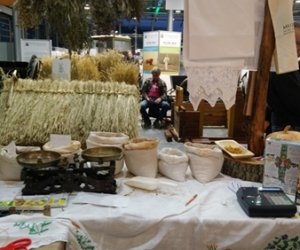 Narodowa Wystawa Rolnicza w Poznaniu