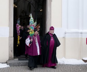 Galeria - Niedziela Palmowa 2013 Galeria - Niedziela Palmowa 2013