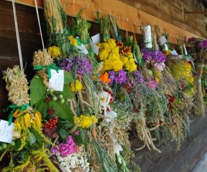 IX Podlaskie Święto Chleba IX Podlaskie Święto Chleba