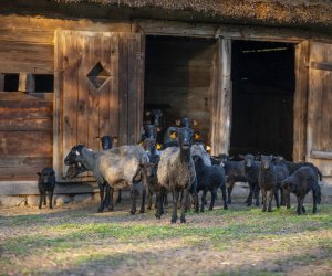 Majówka w Muzeum Majówka w Muzeum