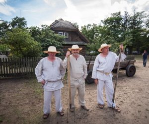 XVIII Podlaskie Święto Chleba - fotorelacja XVIII Podlaskie Święto Chleba - fotorelacja