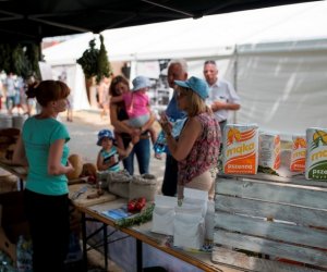 Muzeum na Pikniku Poznaj Dobrą Żywność Muzeum na Pikniku Poznaj Dobrą Żywność
