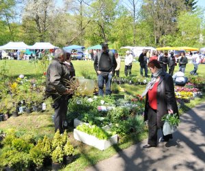 Codziennik Muzealny - Jarmark św. Wojciecha Codziennik Muzealny - Jarmark św. Wojciecha