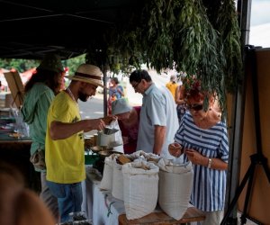 Muzeum na Pikniku Poznaj Dobrą Żywność Muzeum na Pikniku Poznaj Dobrą Żywność
