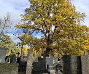 NIECOdziennik Muzealny - Ogrody Wiecznej Pamięci NIECOdziennik Muzealny - Ogrody Wiecznej Pamięci