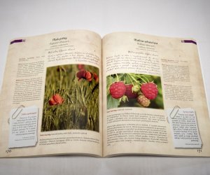 Zażycie Roślin Lekarskie, czyli wiadomość dla miłośników tradycyjnego ziołolecznictwa Zażycie Roślin Lekarskie, czyli wiadomość dla miłośników tradycyjnego ziołolecznictwa