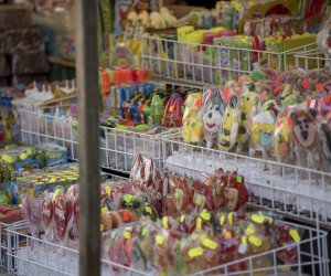 Odpust na św. Antoniego - fotorelacja Odpust na św. Antoniego - fotorelacja