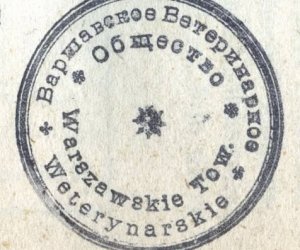 Historia na książkach zapisana