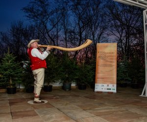 Galeria z 5 grudnia 2015