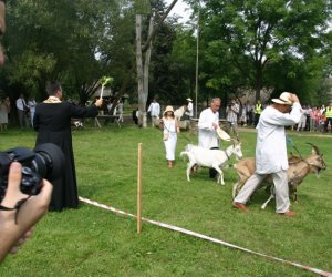 VII PODLASKIE ŚWIĘTO CHLEBA