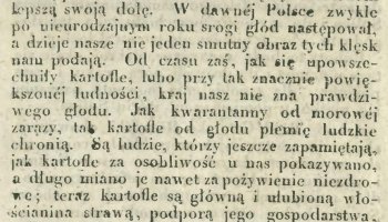 Niecodziennik muzealny - Uprawa ziemniaków w Polsce w XVIII i pierwszych dekadach XIX wieku.