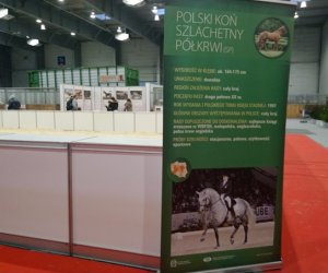 Narodowa Wystawa Rolnicza w Poznaniu