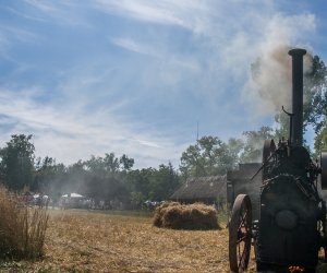 XV Podlaskie Święta Chleba w Muzeum Rolnictwa im. ks. Krzysztofa Kluka w Ciechanowcu XV Podlaskie Święta Chleba w Muzeum Rolnictwa im. ks. Krzysztofa Kluka w Ciechanowcu