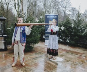 Ligawki 2018 Ligawki 2018