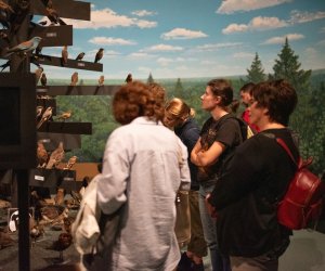 Konferencja Naukowo-Szkoleniowa III PARAZYTOZY ZWIERZĄT - fotorelacja Konferencja Naukowo-Szkoleniowa III PARAZYTOZY ZWIERZĄT - fotorelacja