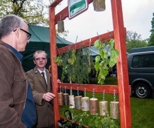 Jarmark św. Wojciecha i Święto Lasu Jarmark św. Wojciecha i Święto Lasu