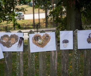 Jesień w Polu i Zagrodzie 2018 - fotorelacja Jesień w Polu i Zagrodzie 2018 - fotorelacja