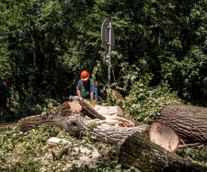 Nawałnica w Ciechanowcu Nawałnica w Ciechanowcu