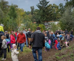 Jesień w Polu i Zagrodzie 2018 - fotorelacja