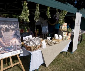 Piknik "Poznaj Zdrową Żywność" - fotorelacja Piknik "Poznaj Zdrową Żywność" - fotorelacja