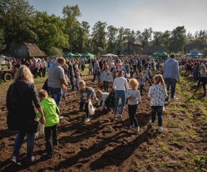 Jesień w polu i zagrodzie - fotorelacja Jesień w polu i zagrodzie - fotorelacja