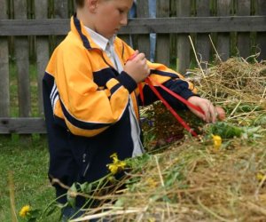 VIII PODLASKIE ŚWIĘTO CHLEBA VIII PODLASKIE ŚWIĘTO CHLEBA