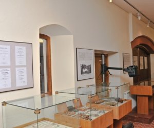 Odnowiona ekspozycja Muzeum Weterynarii