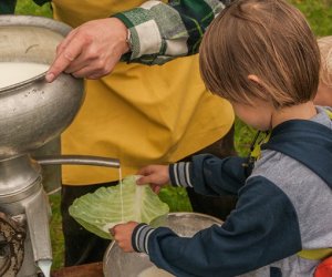 Wykopki w Skansenie 2013