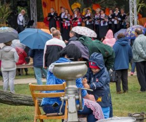 Jesień w Polu i Zagrodzie 2018 - fotorelacja