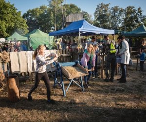 Jesień w polu i zagrodzie - fotorelacja Jesień w polu i zagrodzie - fotorelacja