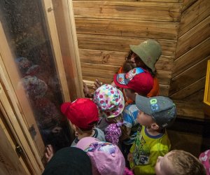 Dzień dziecka w Muzeum Rolnictwa Dzień dziecka w Muzeum Rolnictwa