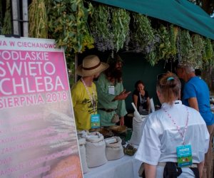 Muzeum na Pikniku Poznaj Dobrą Żywność Muzeum na Pikniku Poznaj Dobrą Żywność