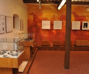 Odnowiona ekspozycja Muzeum Weterynarii Odnowiona ekspozycja Muzeum Weterynarii