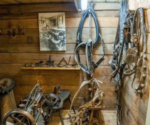 Nie spać! Zwiedzać! - Noc w Muzeum Rolnictwa w Ciechanowcu Nie spać! Zwiedzać! - Noc w Muzeum Rolnictwa w Ciechanowcu