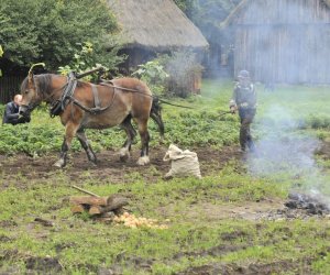 Wykopki w skansenie podsumowanie, fotorelacja. Wykopki w skansenie podsumowanie, fotorelacja.