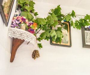 Zielone Świątki Zielone Świątki