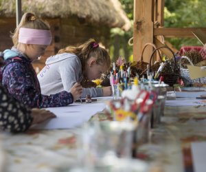 Jesień w polu i zagrodzie 2021 - fotorelacja Jesień w polu i zagrodzie 2021 - fotorelacja