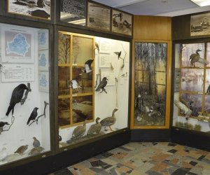 Delegacja pracowników Muzeum Rolnictwa w Ciechanowcu z wizytą na Białorusi na zaproszenie Białoruskiego Państwowego Muzeum Architektury i Życia Codziennego w Mińsku