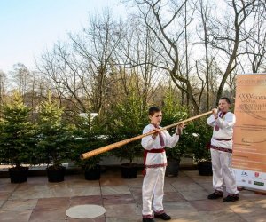 Galeria z 5 grudnia 2015