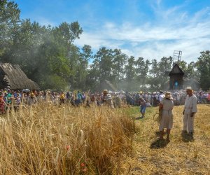XV Podlaskie Święta Chleba w Muzeum Rolnictwa im. ks. Krzysztofa Kluka w Ciechanowcu XV Podlaskie Święta Chleba w Muzeum Rolnictwa im. ks. Krzysztofa Kluka w Ciechanowcu