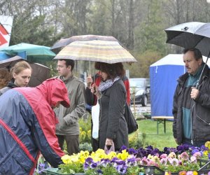 Deszczowy Jarmark Deszczowy Jarmark